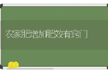 农家肥增加肥效有窍门