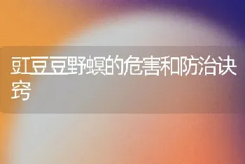 豇豆豆野螟的危害和防治诀窍