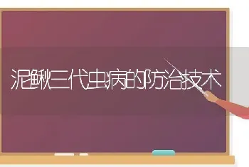 泥鳅三代虫病的防治技术