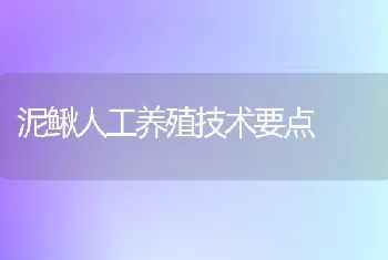 泥鳅人工养殖技术要点