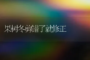 贮藏板栗的几种常见方法