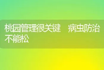 桃园管理很关键 病虫防治不能松