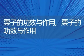 栗子的功效与作用