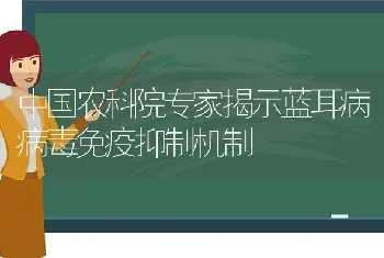 中国农科院专家揭示蓝耳病病毒免疫抑制机制