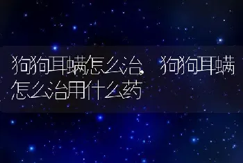 狗狗耳螨怎么治