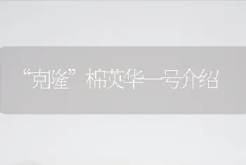 “克隆”棉英华一号介绍