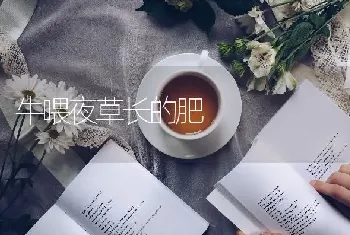 牛喂夜草长的肥