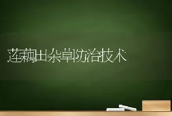 莲藕田杂草防治技术