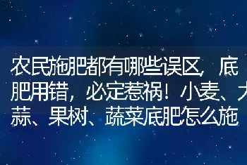 农民施肥都有哪些误区