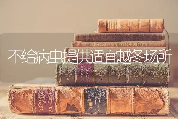 不给病虫提供适宜越冬场所