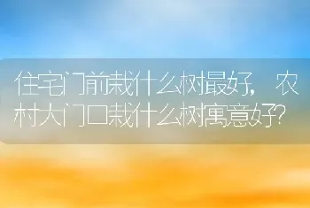 住宅门前栽什么树最好