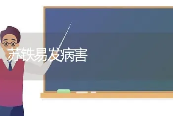 苏铁易发病害