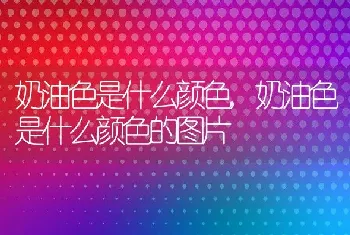 奶油色是什么颜色,奶油色是什么颜色的图片