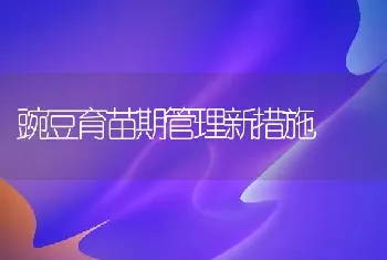 豌豆育苗期管理新措施