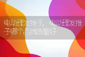 电动理发推子,电动理发推子哪个品牌质量好