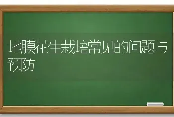 地膜花生栽培常见的问题与预防