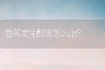 香蕉发生酸害怎么治?