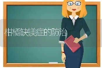 柑橘缺镁症的防治