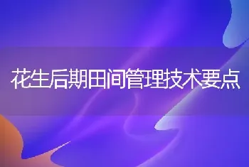 花生后期田间管理技术要点