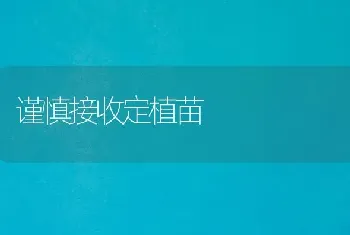 谨慎接收定植苗