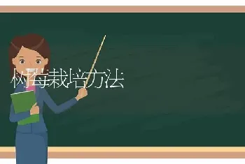 树莓栽培方法