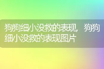 狗狗细小没救的表现,狗狗细小没救的表现图片