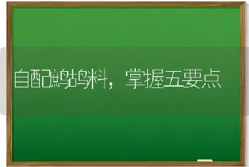 自配鹧鸪料,掌握五要点