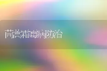 茼蒿霜霉病防治