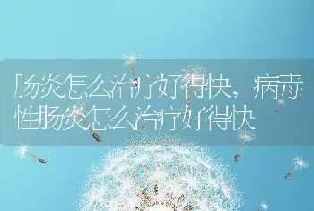 肠炎怎么治疗好得快,病毒性肠炎怎么治疗好得快