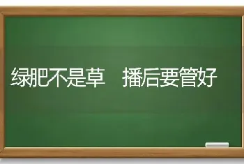 绿肥不是草 播后要管好