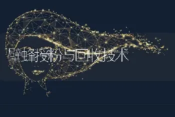 壁蜂授粉与回收技术