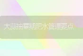 大蒜抽薹期肥水管理要点