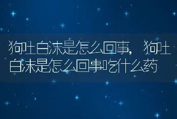 狗吐白沫是怎么回事,狗吐白沫是怎么回事吃什么药