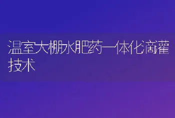 温室大棚水肥药一体化滴灌技术