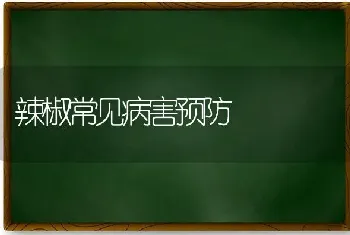 辣椒常见病害预防