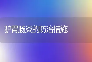 驴胃肠炎的防治措施