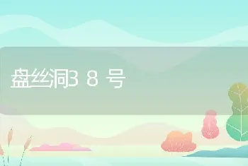 盘丝洞38号