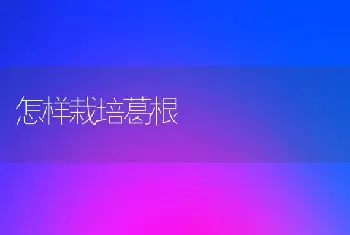 怎样栽培葛根