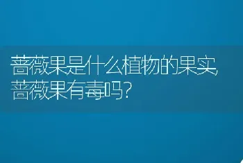 蔷薇果是什么植物的果实