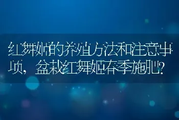 红舞姬的养殖方法和注意事项