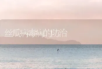 丝瓜病毒病的防治