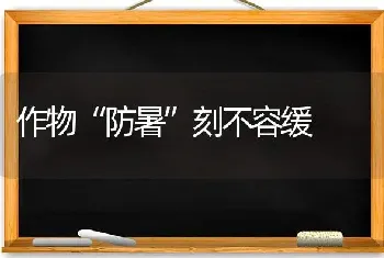 作物“防暑”刻不容缓