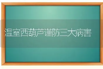 温室西葫芦谨防三大病害