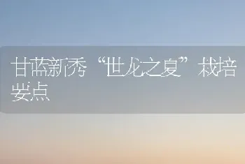 甘蓝新秀“世龙之夏”栽培要点