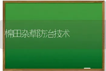 棉田杂草防治技术