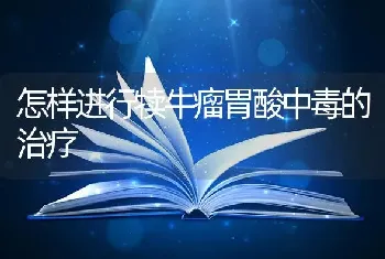 怎样进行犊牛瘤胃酸中毒的治疗