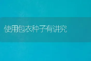 使用包衣种子有讲究