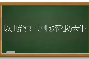 以虫治虫 肿腿蜂巧防天牛