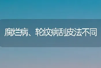 腐烂病、轮纹病刮皮法不同