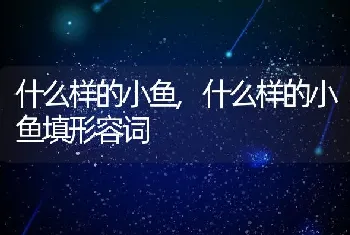 什么样的小鱼,什么样的小鱼填形容词